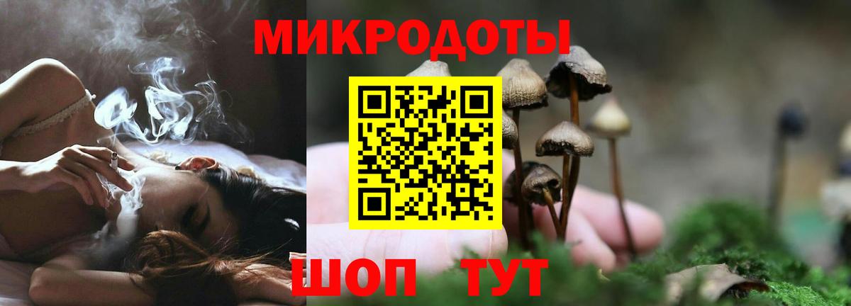 Галлюциногенные грибы Psilocybe  Вход с VPN  Тимашёвск 